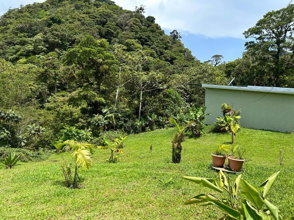 Selvatica Del Toro Appartement Bajos del Toro Buitenkant foto