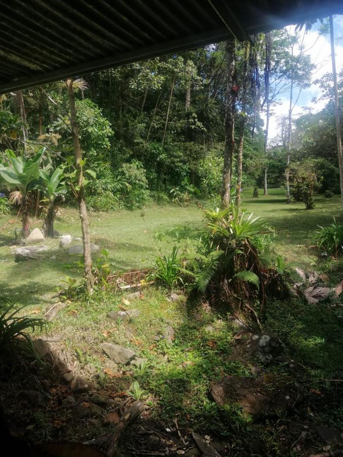 Selvatica Del Toro Appartement Bajos del Toro Buitenkant foto
